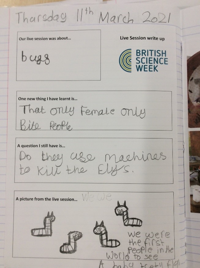 Example of a British Science week student workbook