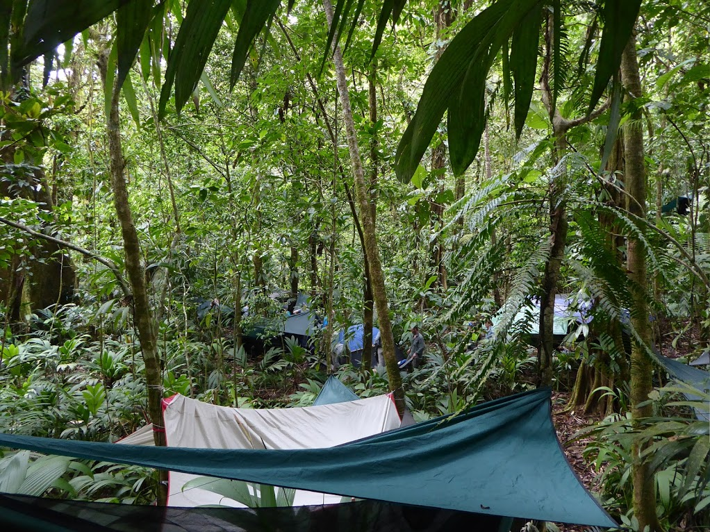 Camping in Guatemalan rainforest