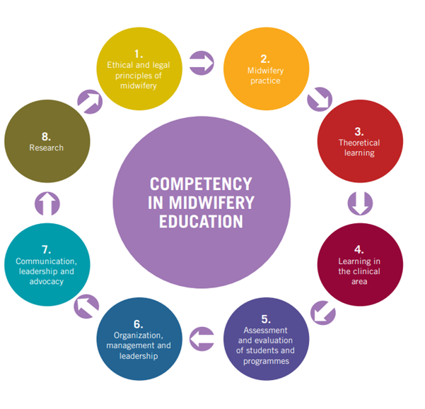 Strengthening pre-service midwifery education: evidence to inform ...