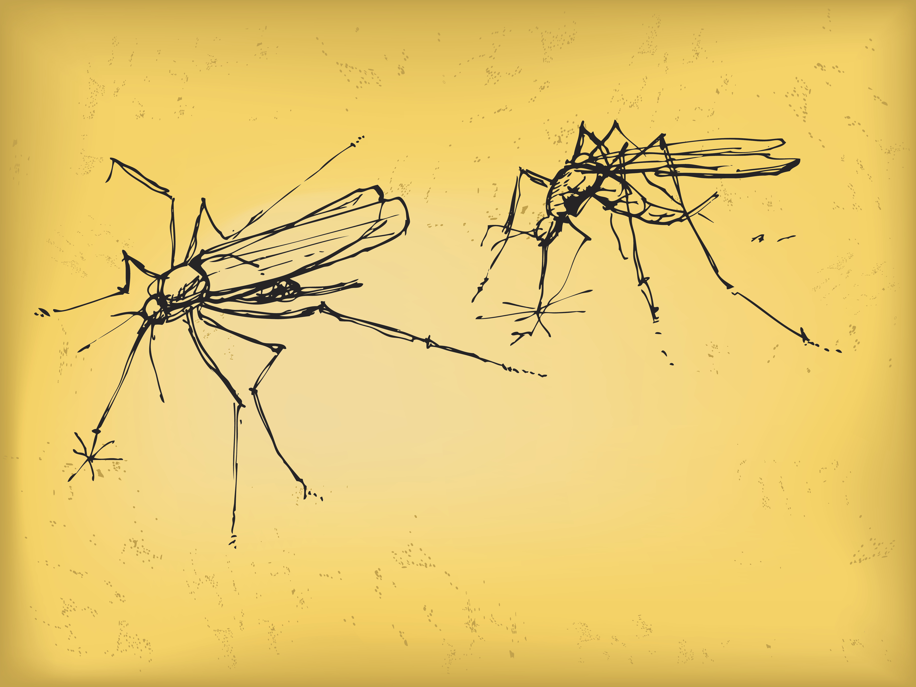 Малярийный комар рисунок на коже