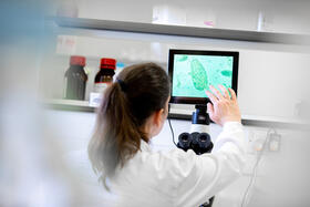 Photo of a student in an LSTM lab viewing microbes on a monitor