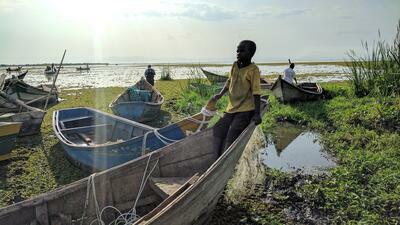 Schistosomiasis survey at Lake Albert, Uganda