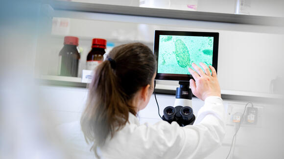 Photo of a student in an LSTM lab viewing microbes on a monitor