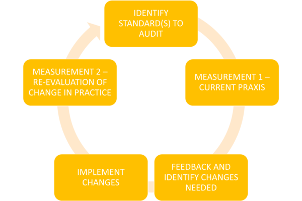Standards-based Audit Cycle Standards-based Audit Cycle