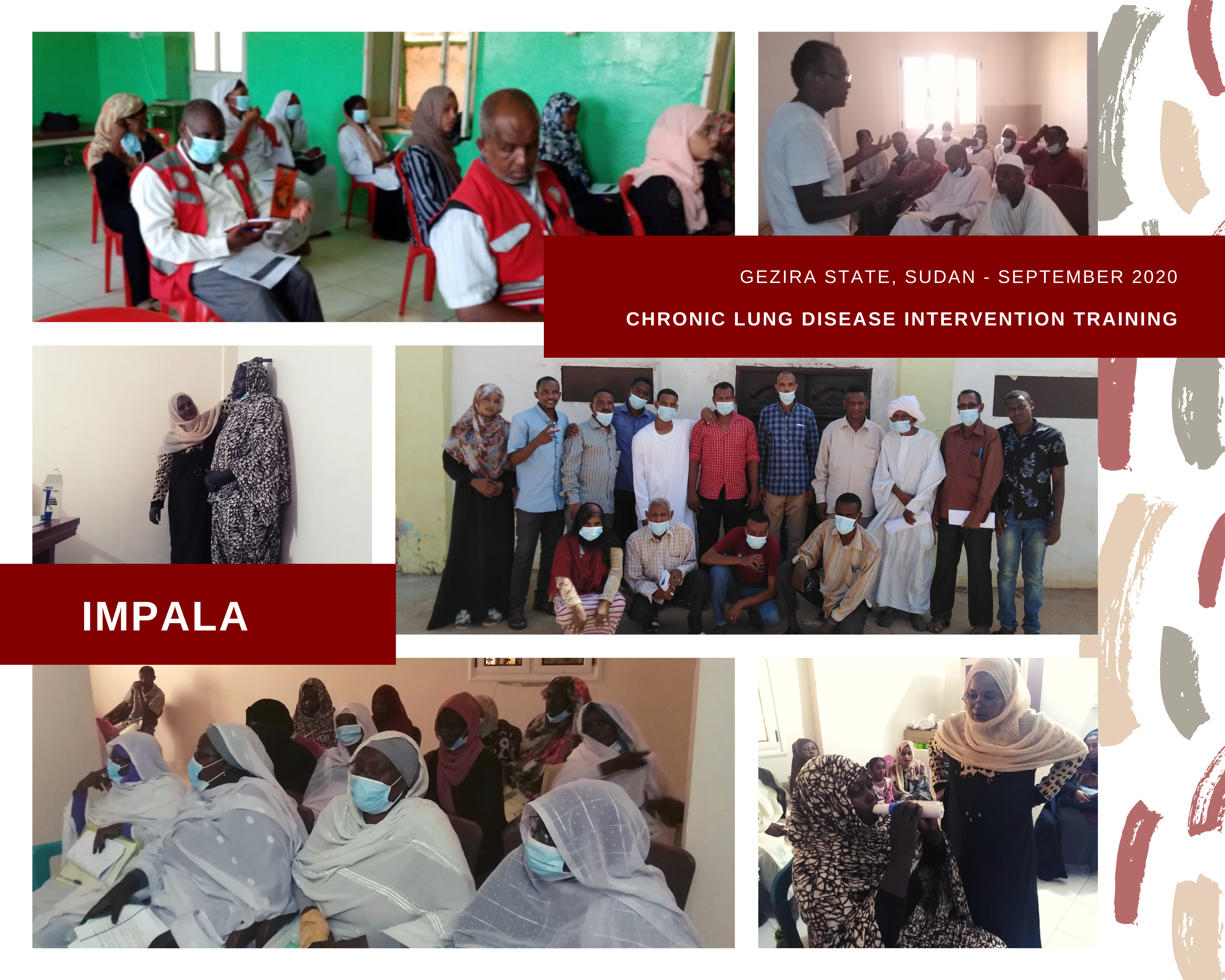 Collage of images taken during training in Gezira State, Sudan