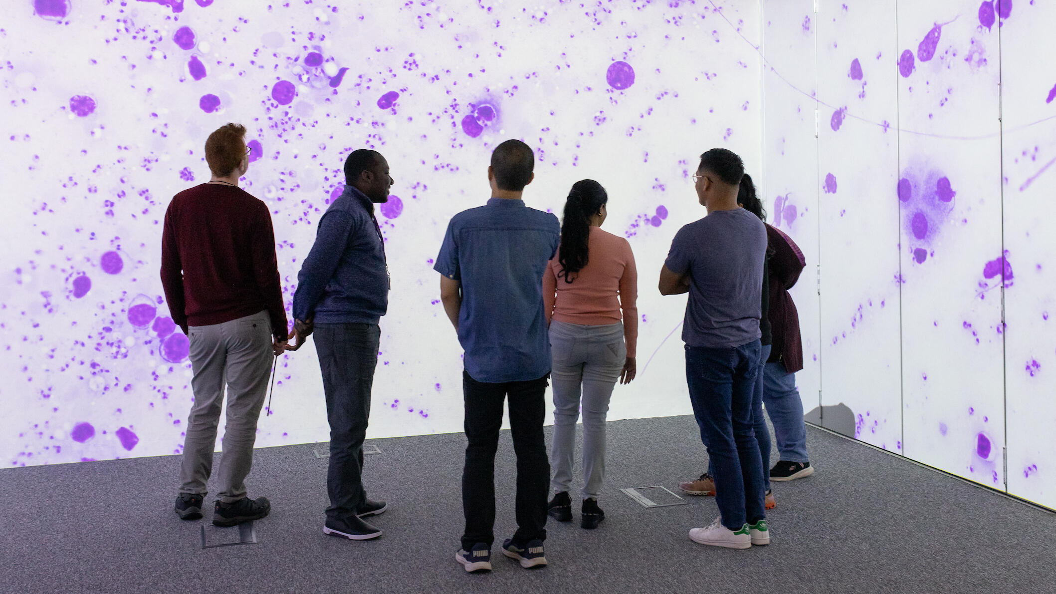 Group of students in the LSTM immersive learning suite.