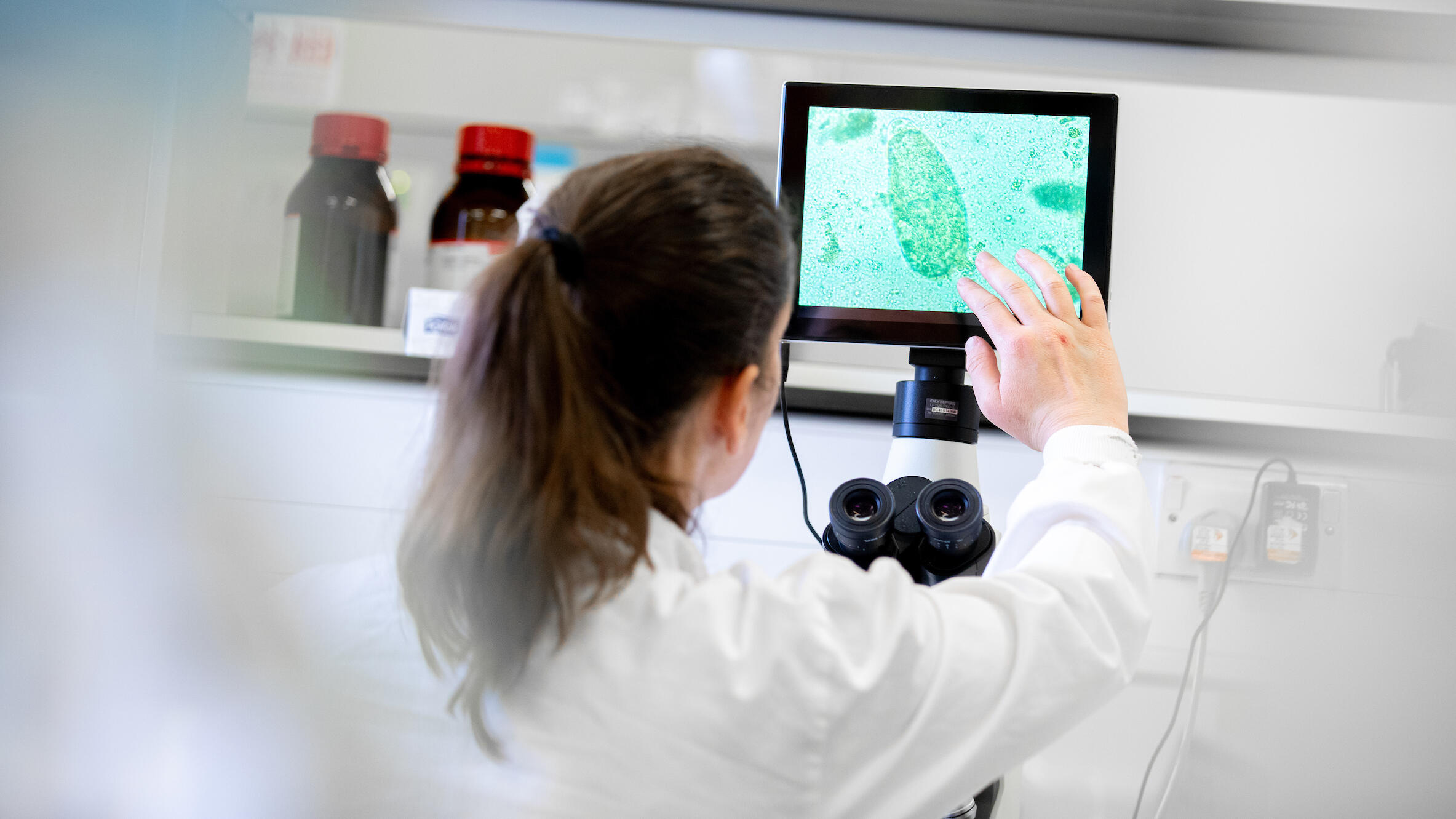 Photo of a student in an LSTM lab viewing microbes on a monitor