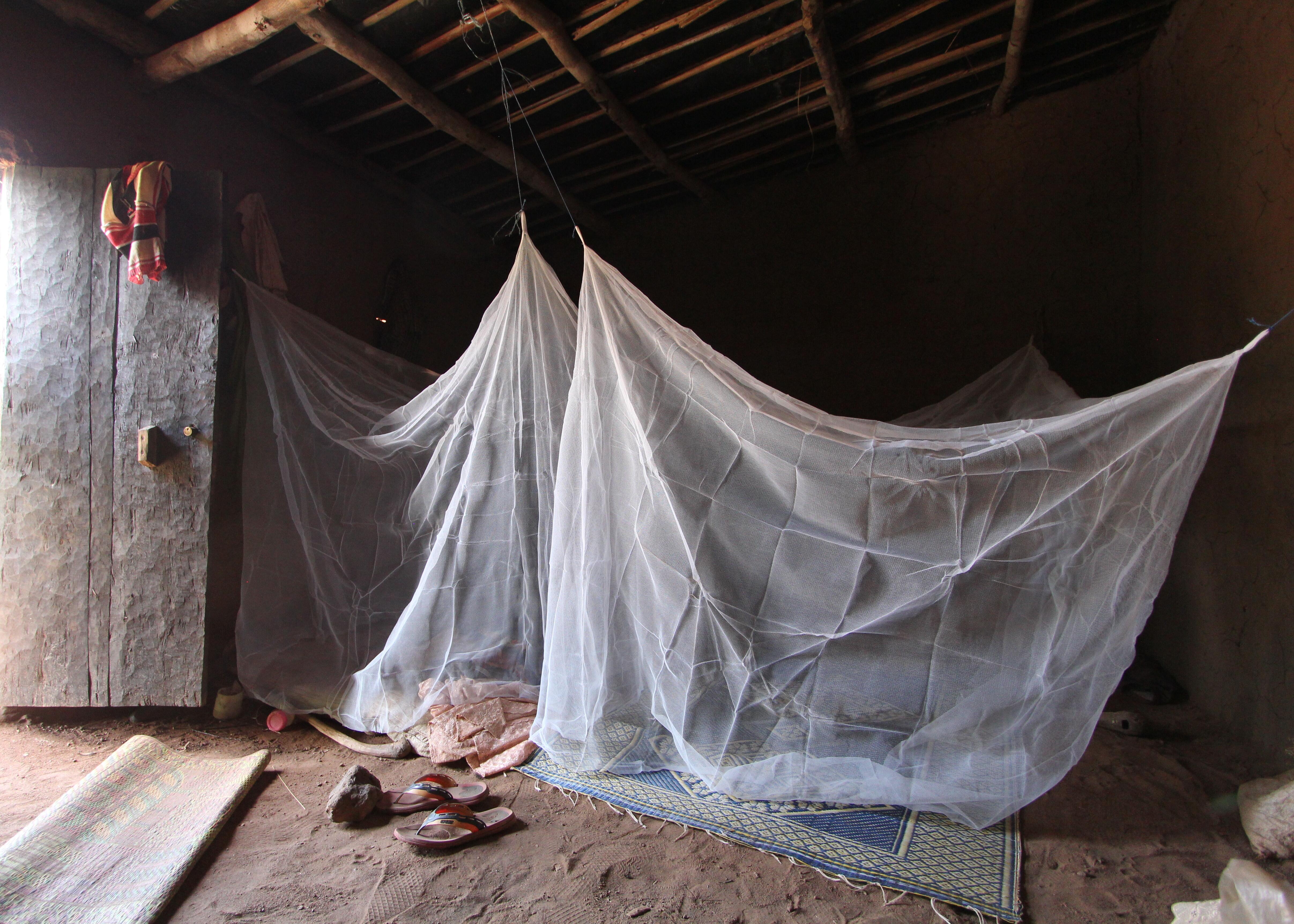 A study bed net in a living space in Burkina Faso. Credit: Durham University/Steve Lindsay A study bed net in a living space in Burkina Faso. Credit: Durham University/Steve Lindsay