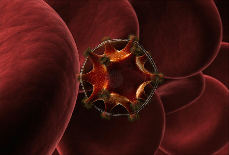 The HIV virus The HIV virus
