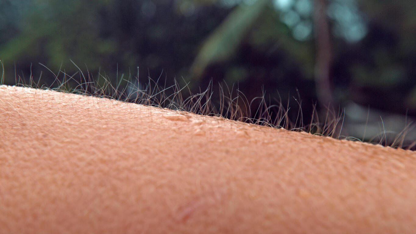 A close up of skin (credit: helivideo)