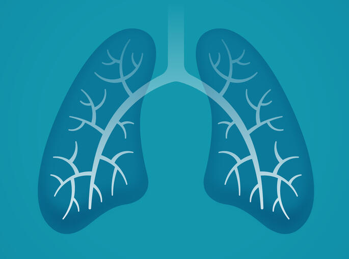 Lung illustration Lung illustration