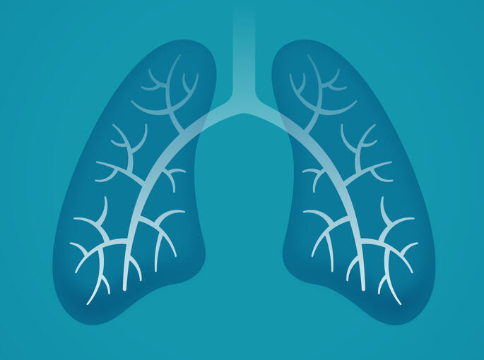 Lung illustration