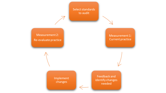 The standards-based audit (StBA) cycle  Source: Liverpool School of Tropical Medicine (LSTM)