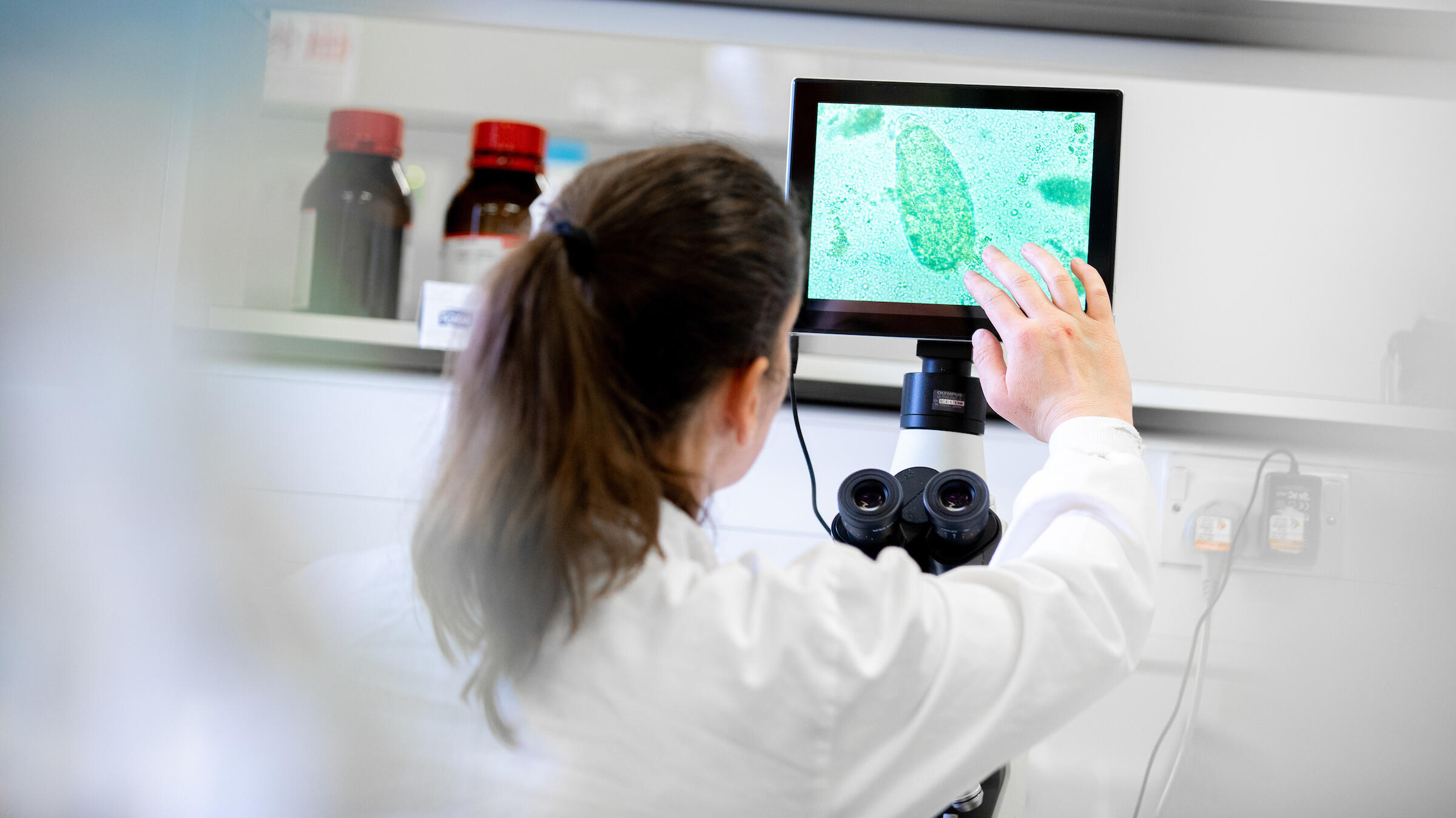 Photo of a student in an LSTM lab viewing microbes on a monitor