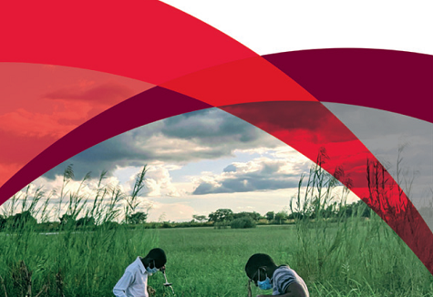 LSTM Annual Report front cover
