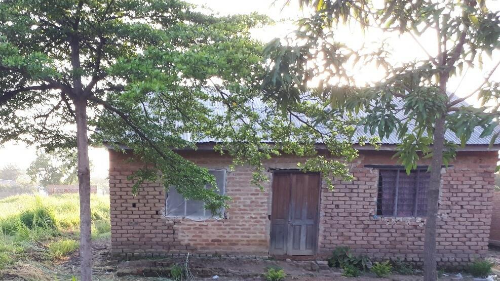 A typical example of improved housing beside a mosquito-producing rice field in rural Tanzania, constructed using bricks, timber and iron sheeting plus netting screens fitted over the windows. 