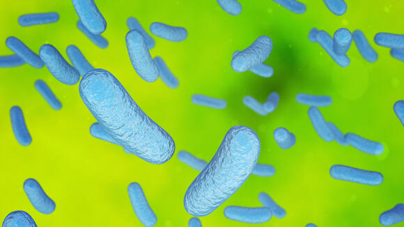 Close up of 3d microscopic rod bacteria stock photo